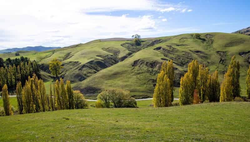 81 MacKenzie Road, Kahuranaki