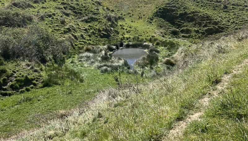 135 Iverachs Road, Waiau