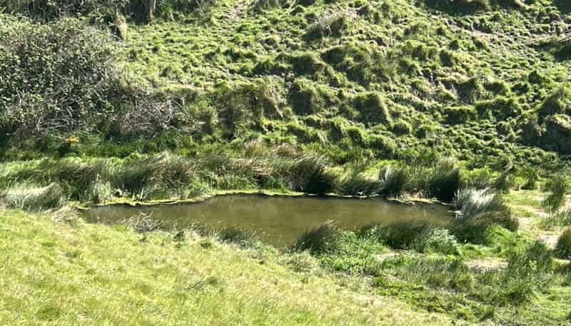 135 Iverachs Road, Waiau