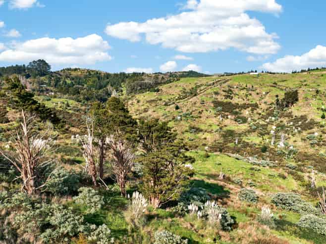 600C Bickerstaffe Road, Maungaturoto