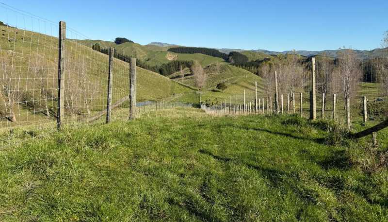 196 Ngapaeruru Rd, Dannevirke