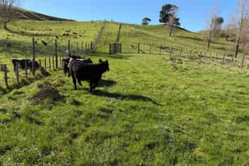 196 Ngapaeruru Rd, Dannevirke