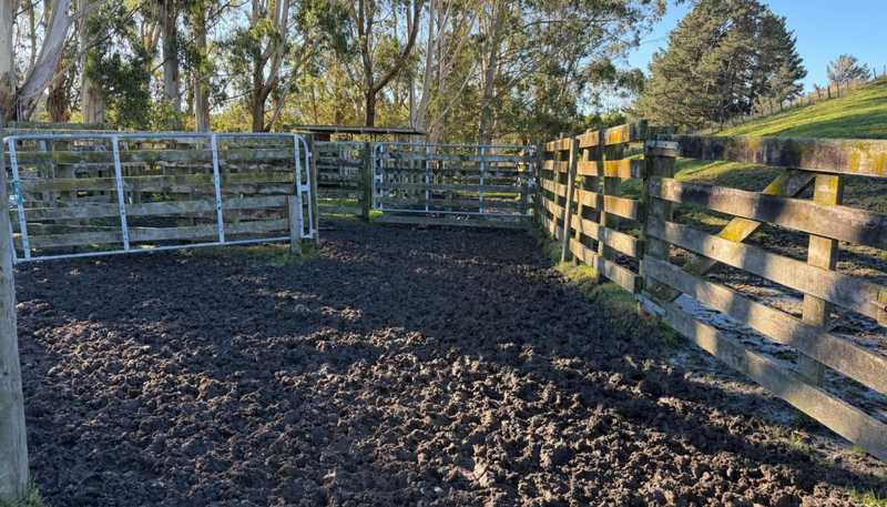 196 Ngapaeruru Rd, Dannevirke