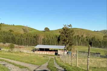 196 Ngapaeruru Rd, Dannevirke