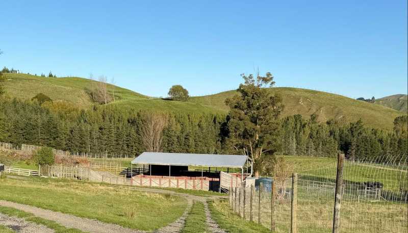 196 Ngapaeruru Rd, Dannevirke