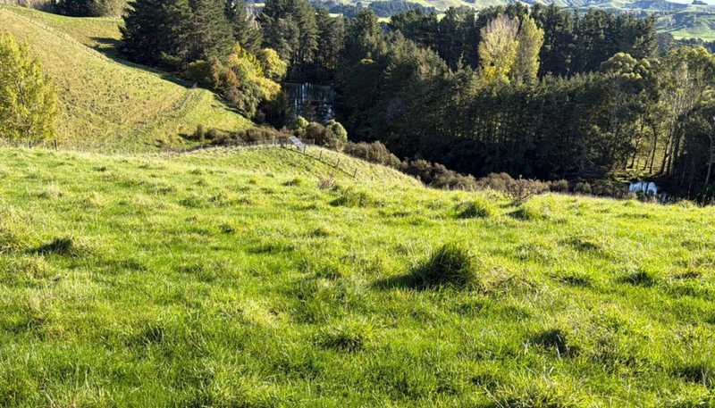 196 Ngapaeruru Rd, Dannevirke