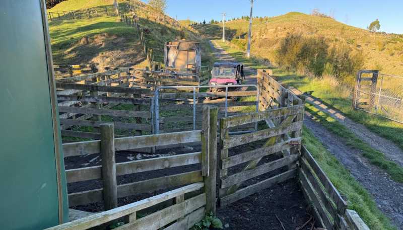 196 Ngapaeruru Rd, Dannevirke