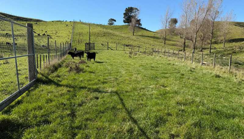 196 Ngapaeruru Rd, Dannevirke