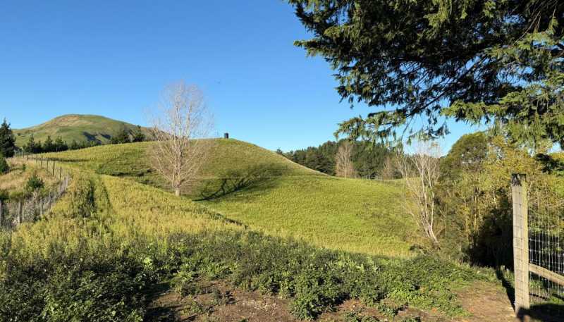 196 Ngapaeruru Rd, Dannevirke