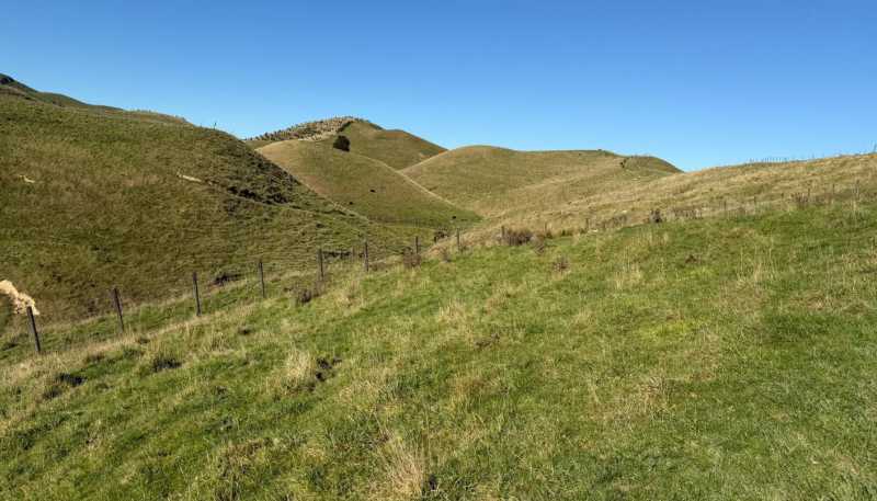 196 Ngapaeruru Rd, Dannevirke