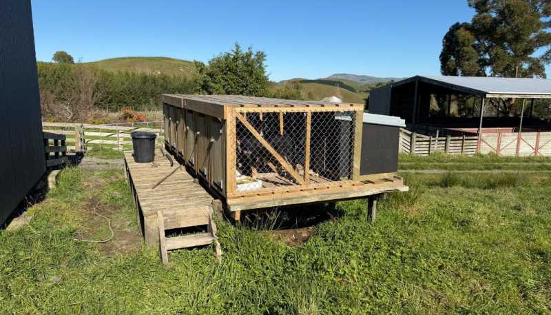 196 Ngapaeruru Rd, Dannevirke