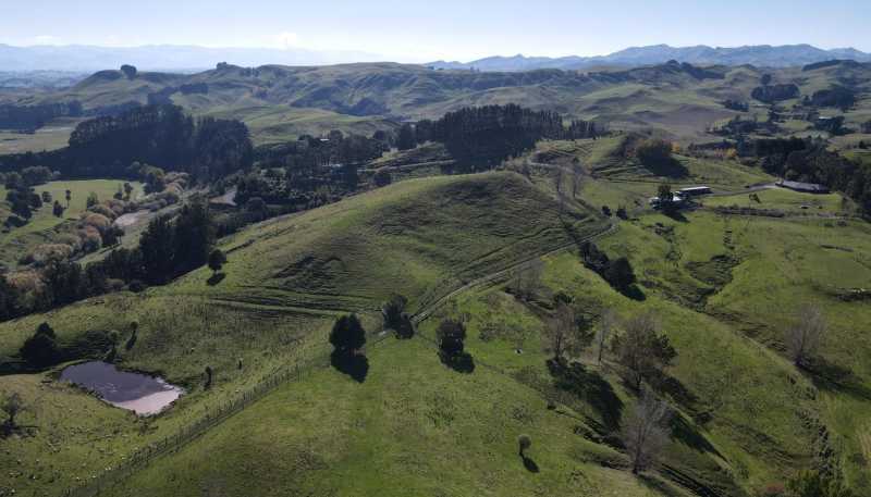 196 Ngapaeruru Rd, Dannevirke