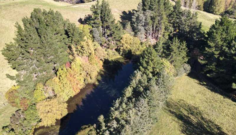 196 Ngapaeruru Rd, Dannevirke