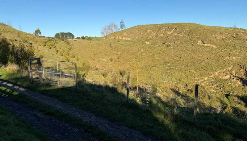 196 Ngapaeruru Rd, Dannevirke