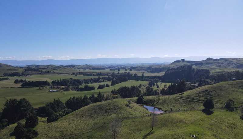 196 Ngapaeruru Rd, Dannevirke