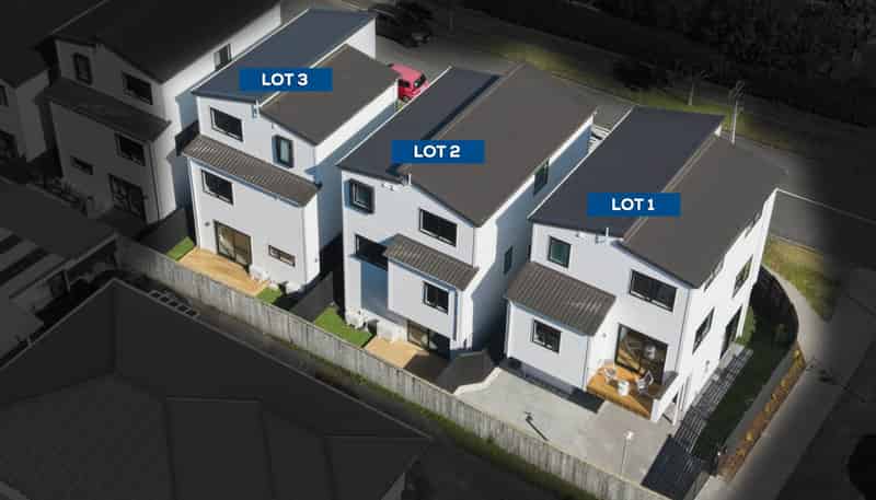 73,75/79 Cnr Terry Street and McFadzean Drive, Blockhouse Bay