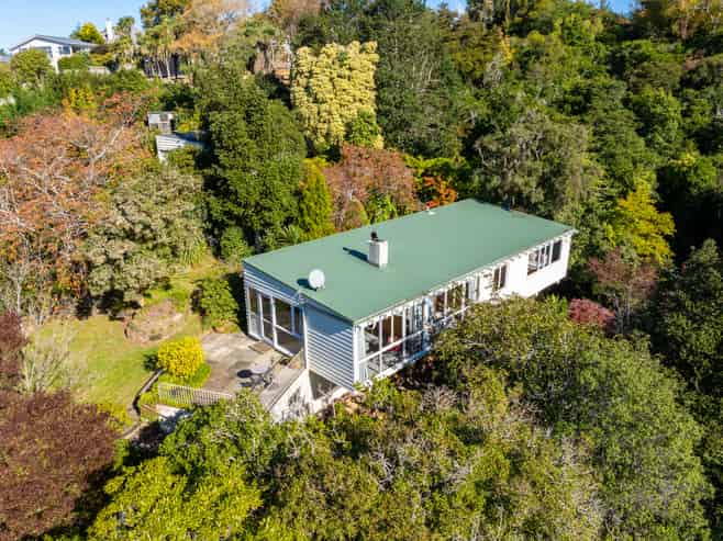 61 Braeview Crescent, Maori Hill