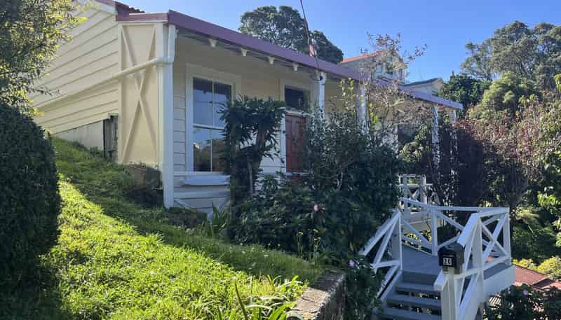 20 Ascot Street, Thorndon