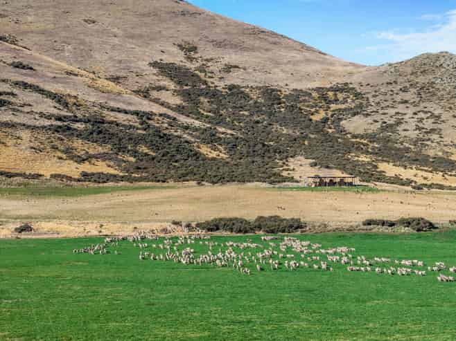 495 Haldon Road, Lake Tekapo