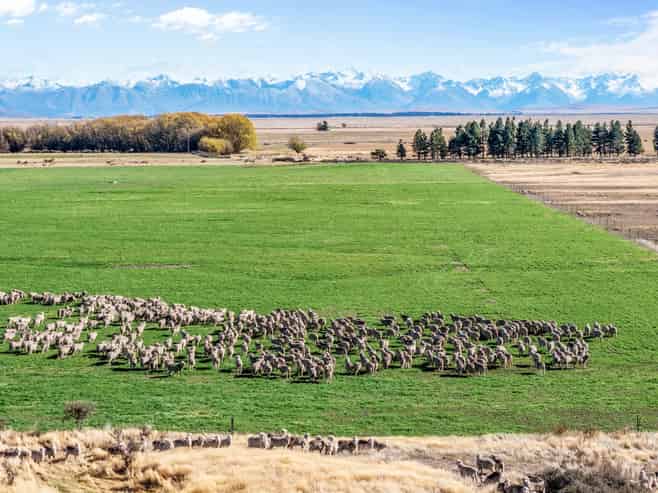 495 Haldon Road, Lake Tekapo