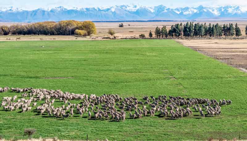 495 Haldon Road, Lake Tekapo