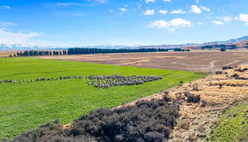 495 Haldon Road, Lake Tekapo