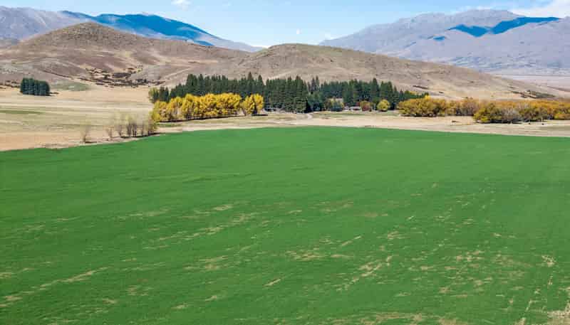 495 Haldon Road, Lake Tekapo
