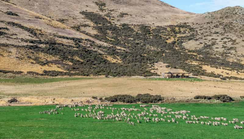 495 Haldon Road, Lake Tekapo