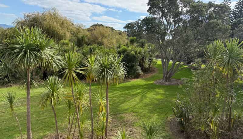 4/100 Walker Street, Point Chevalier