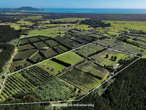 101 Turk Valley Road, Waiharara