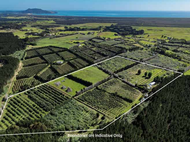101 Turk Valley Road, Waiharara