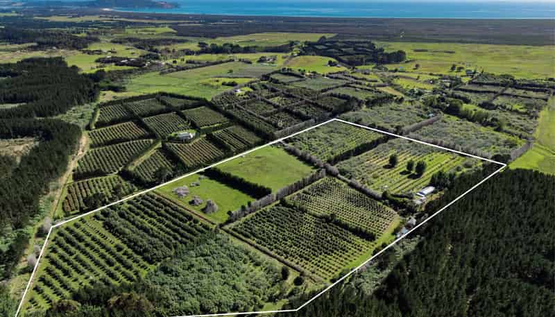 101 Turk Valley Road, Waiharara