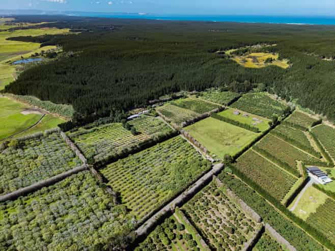101 Turk Valley Road, Waiharara