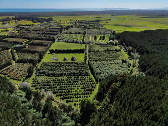 101 Turk Valley Road, Waiharara