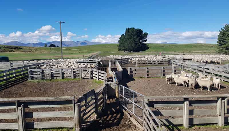 305 Bypass Road, Ranfurly