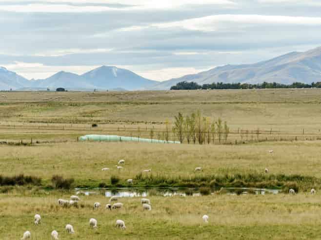 305 Bypass Road, Ranfurly