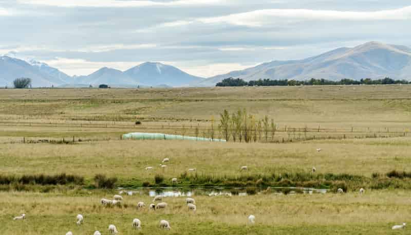 305 Bypass Road, Ranfurly