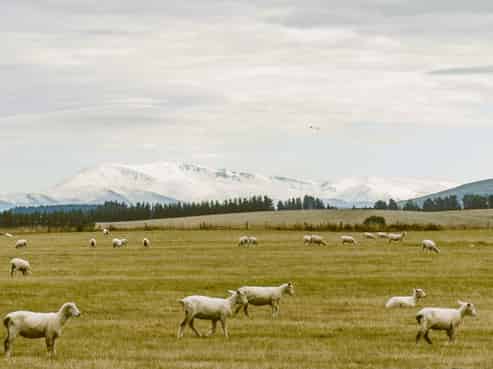 305 Bypass Road, Ranfurly
