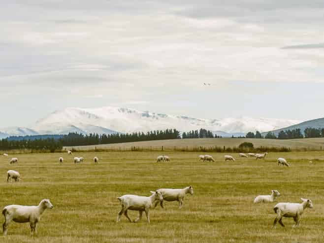 305 Bypass Road, Ranfurly