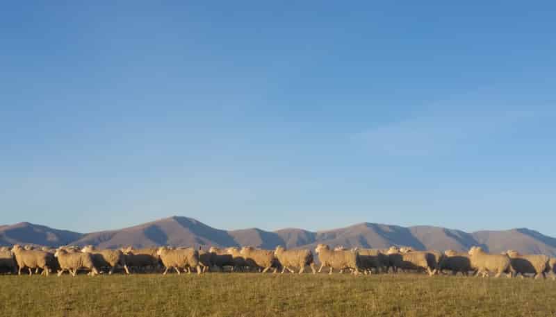 305 Bypass Road, Ranfurly