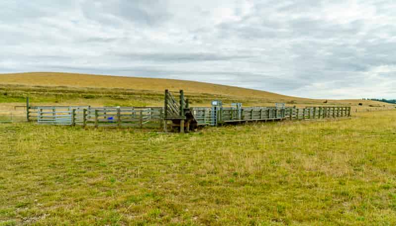 305 Bypass Road, Ranfurly
