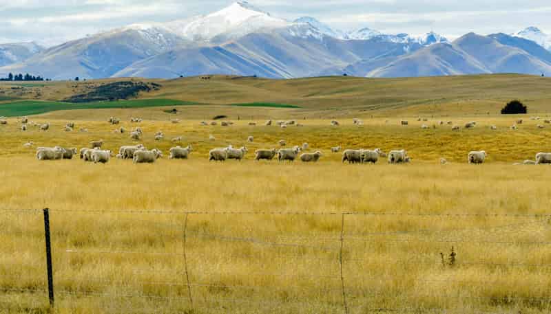 305 Bypass Road, Ranfurly