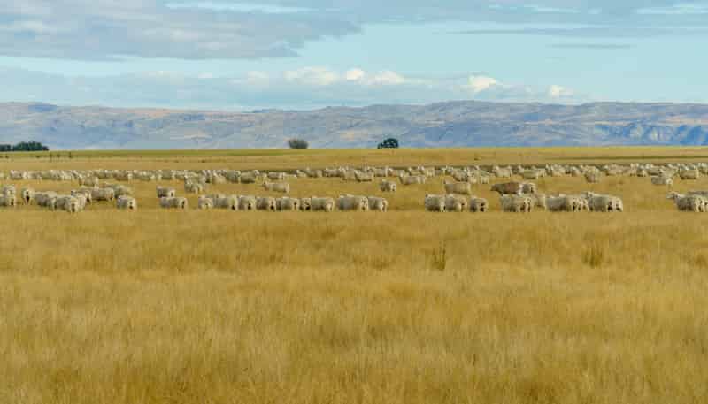 305 Bypass Road, Ranfurly
