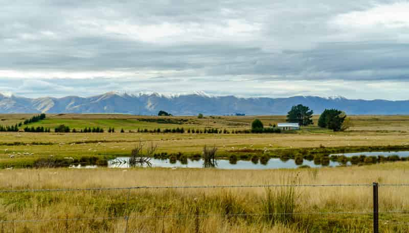 305 Bypass Road, Ranfurly