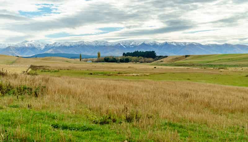305 Bypass Road, Ranfurly
