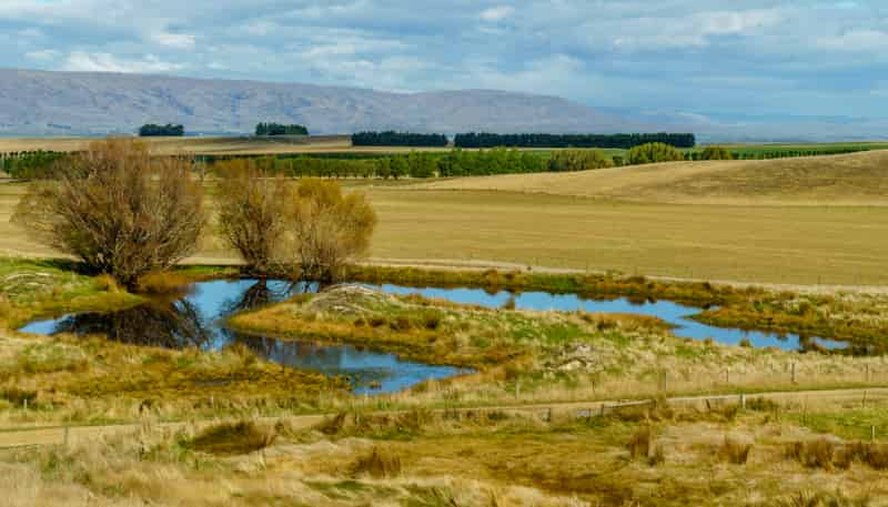 305 Bypass Road, Ranfurly