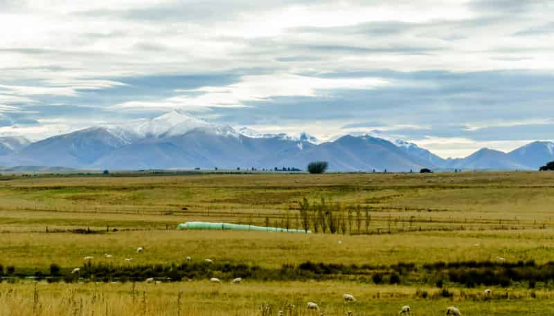 305 Bypass Road, Ranfurly