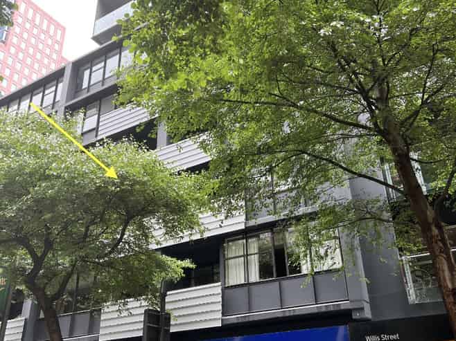 201/60 Willis Street, Wellington Central