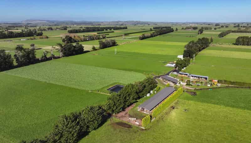 61 Donald Road, Edendale