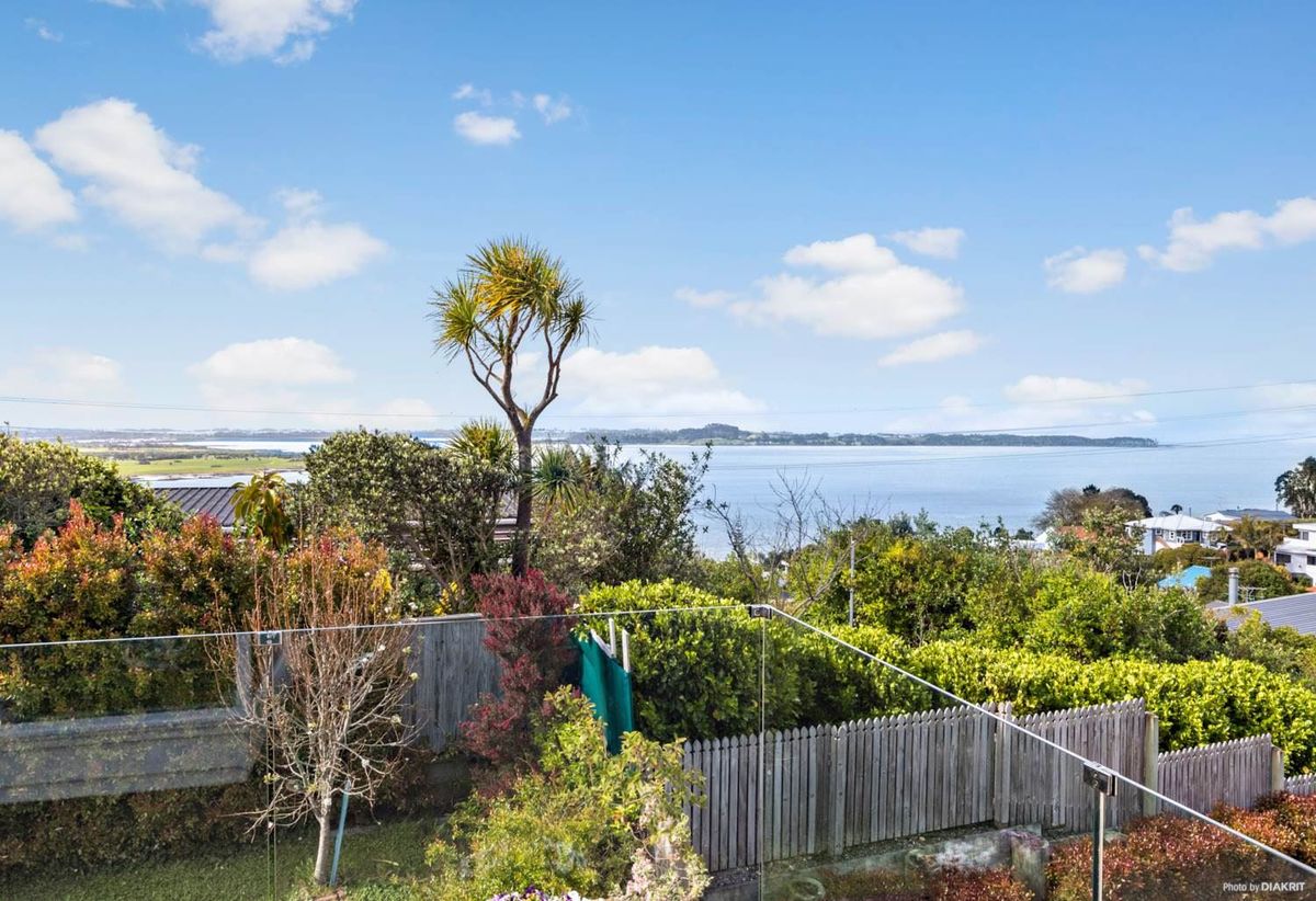 Modern 4 Bedroom House with Manukau Harbour Views - Ansicht 5